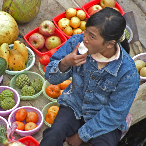 Vietnam fruit seller